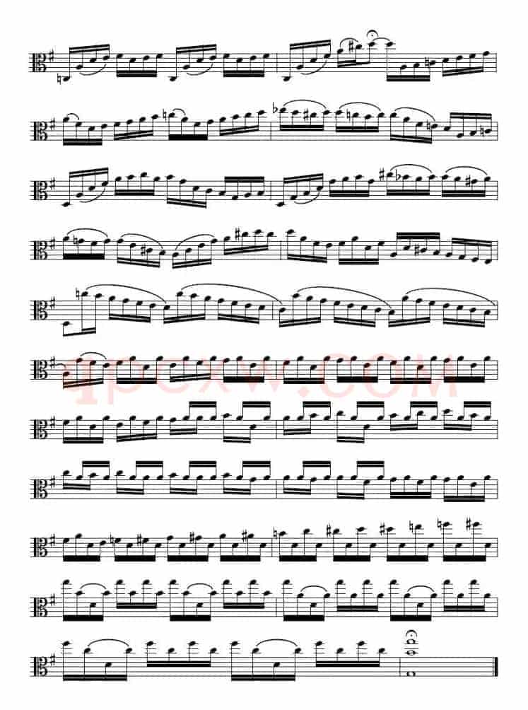 Bach《6 Suites》(巴赫《组曲》、中提琴)