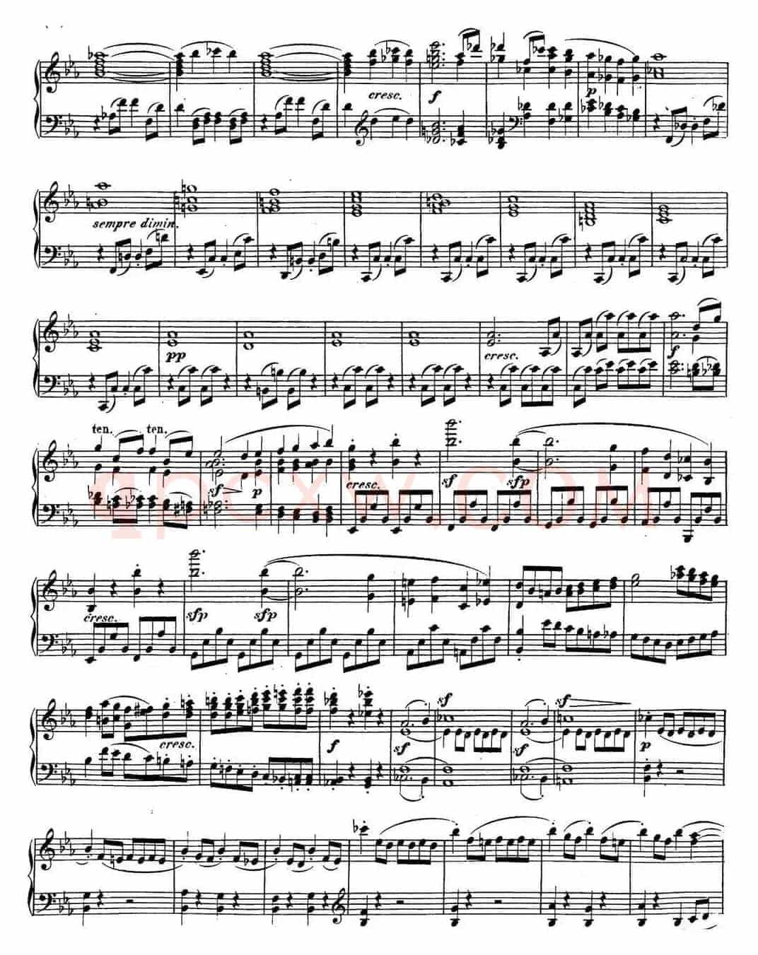 Sonate（奏鸣曲）