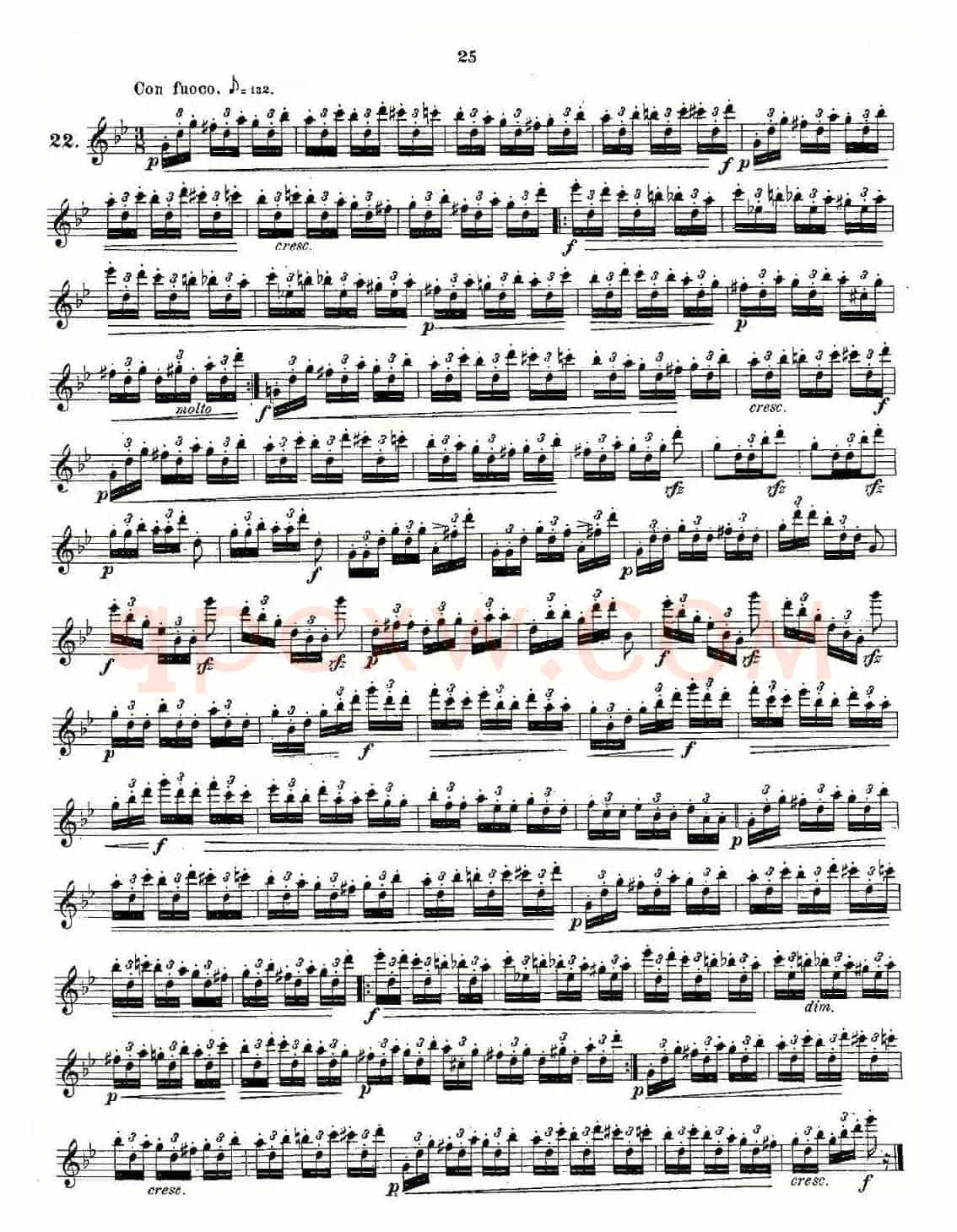 Andersen etude op30 之13—24（练习曲作品30号）
