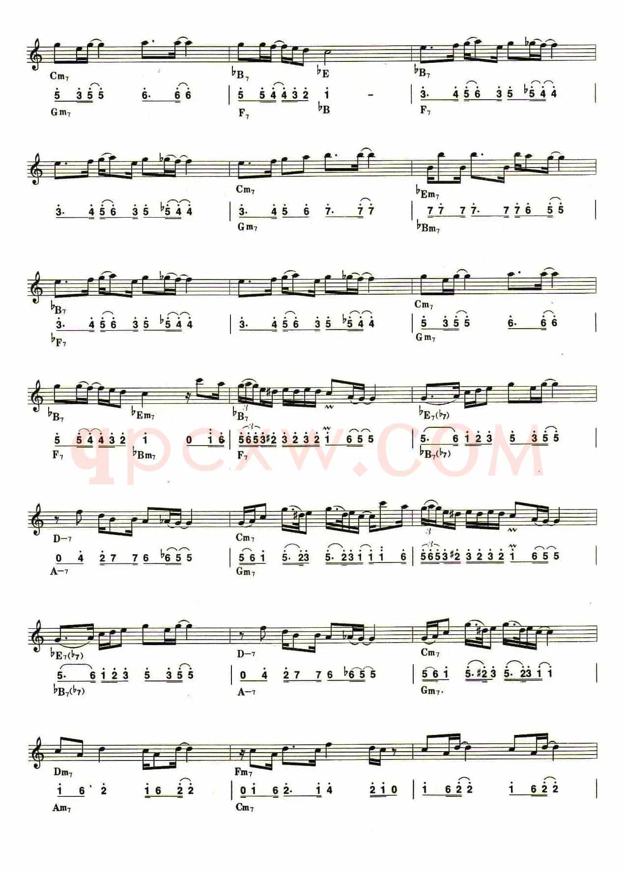 野猫布鲁斯（线简谱对照版）