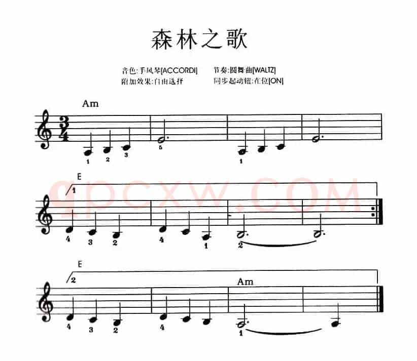 森林之歌