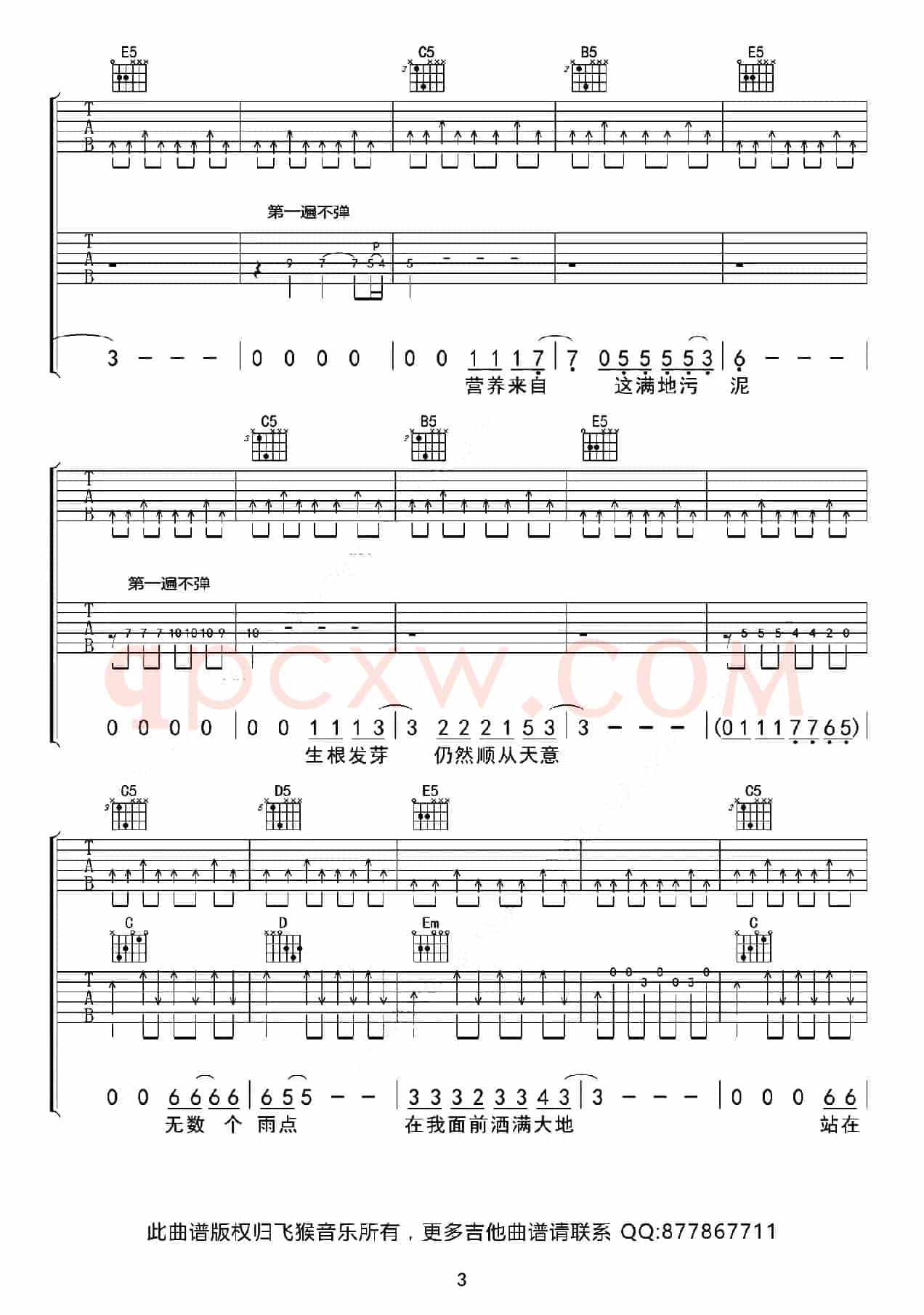 向阳花（G调双吉他版）