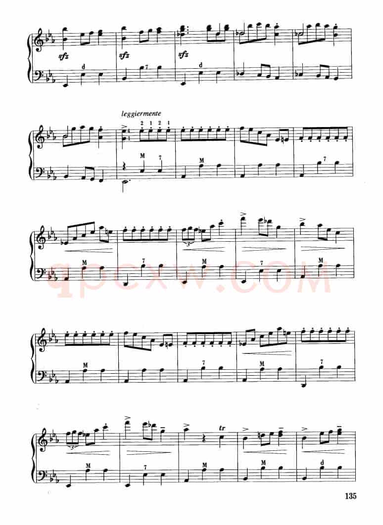 华丽大圆舞曲
