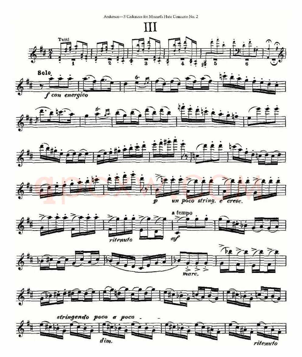 3 Cadenzas for Mozart's flute Concerto No.2