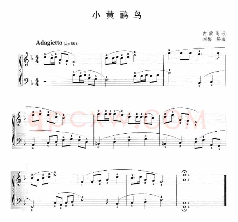 小黄鹂鸟