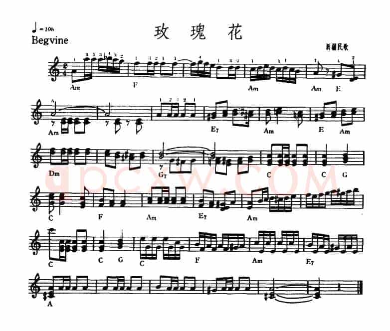 玫瑰花
