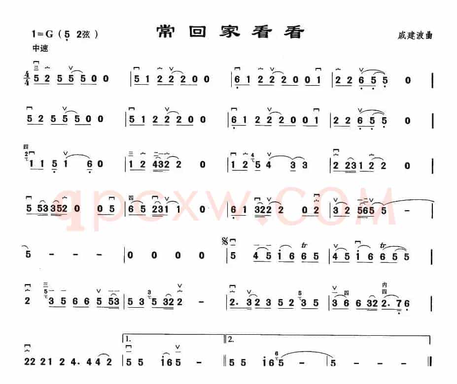 常回家看看