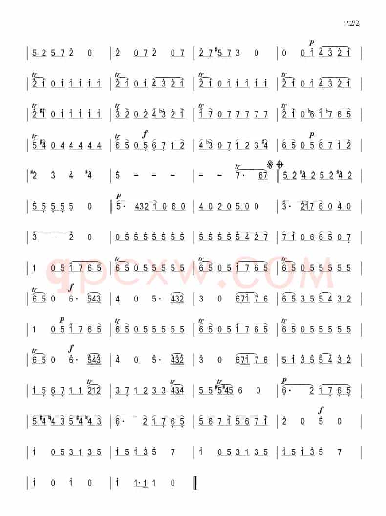 弦乐小夜曲（莫扎特作品 K.525）（箫）