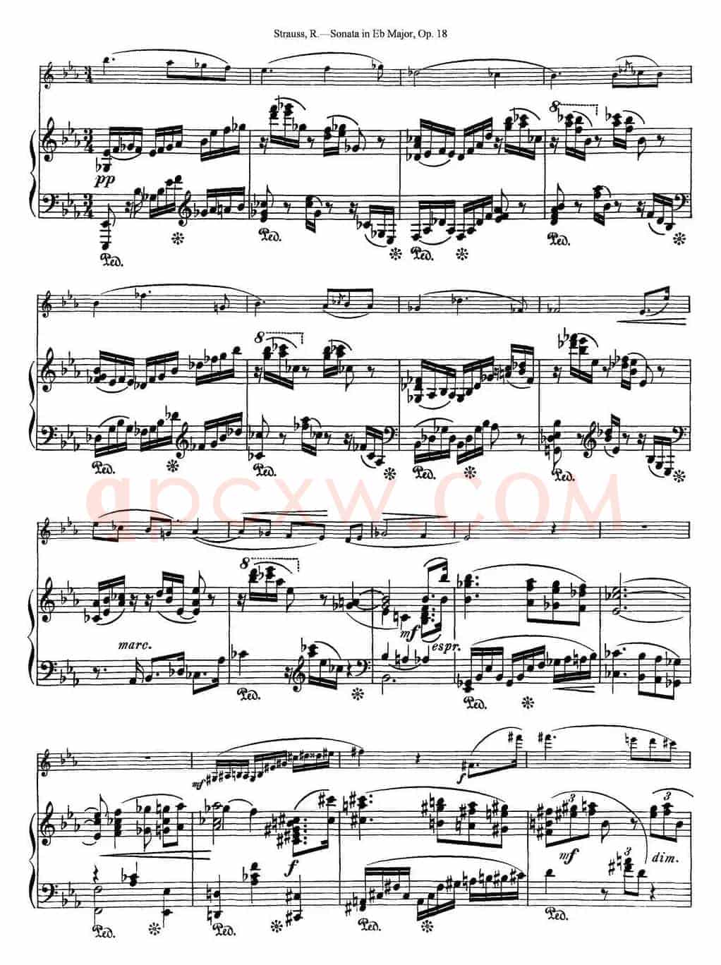 Violin Sonata in Eb Major Op.18（小提琴+钢琴伴奏）
