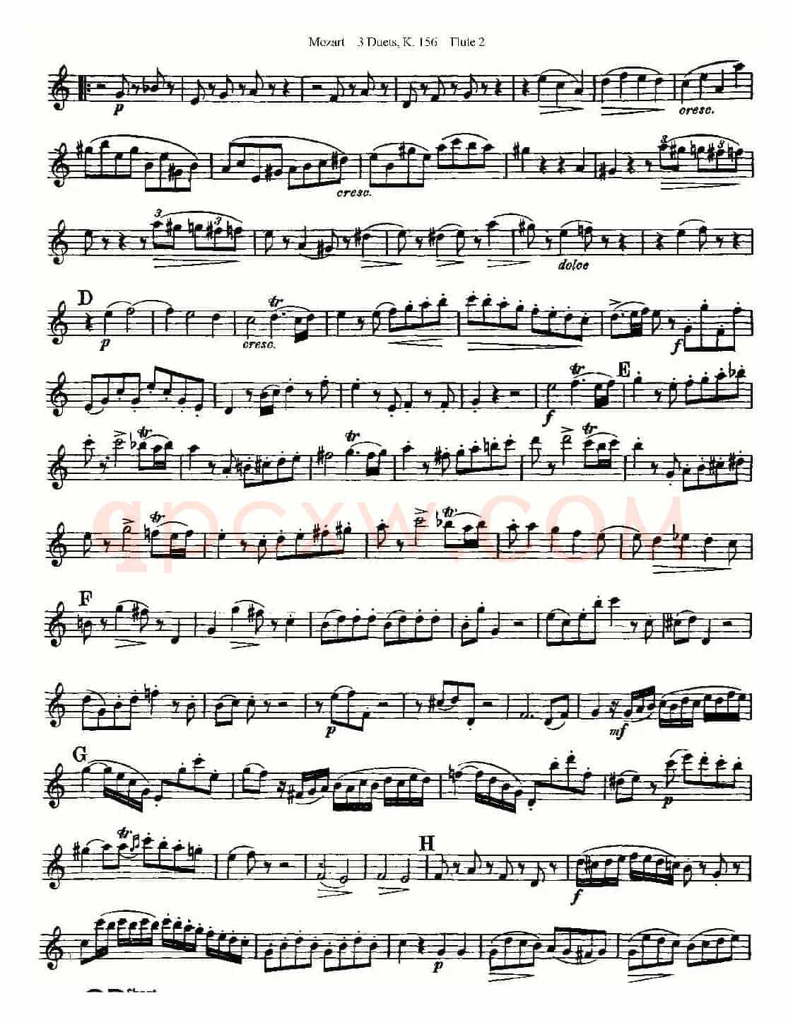 3 Duets K.156 之第二长笛（二重奏三首 K156号）