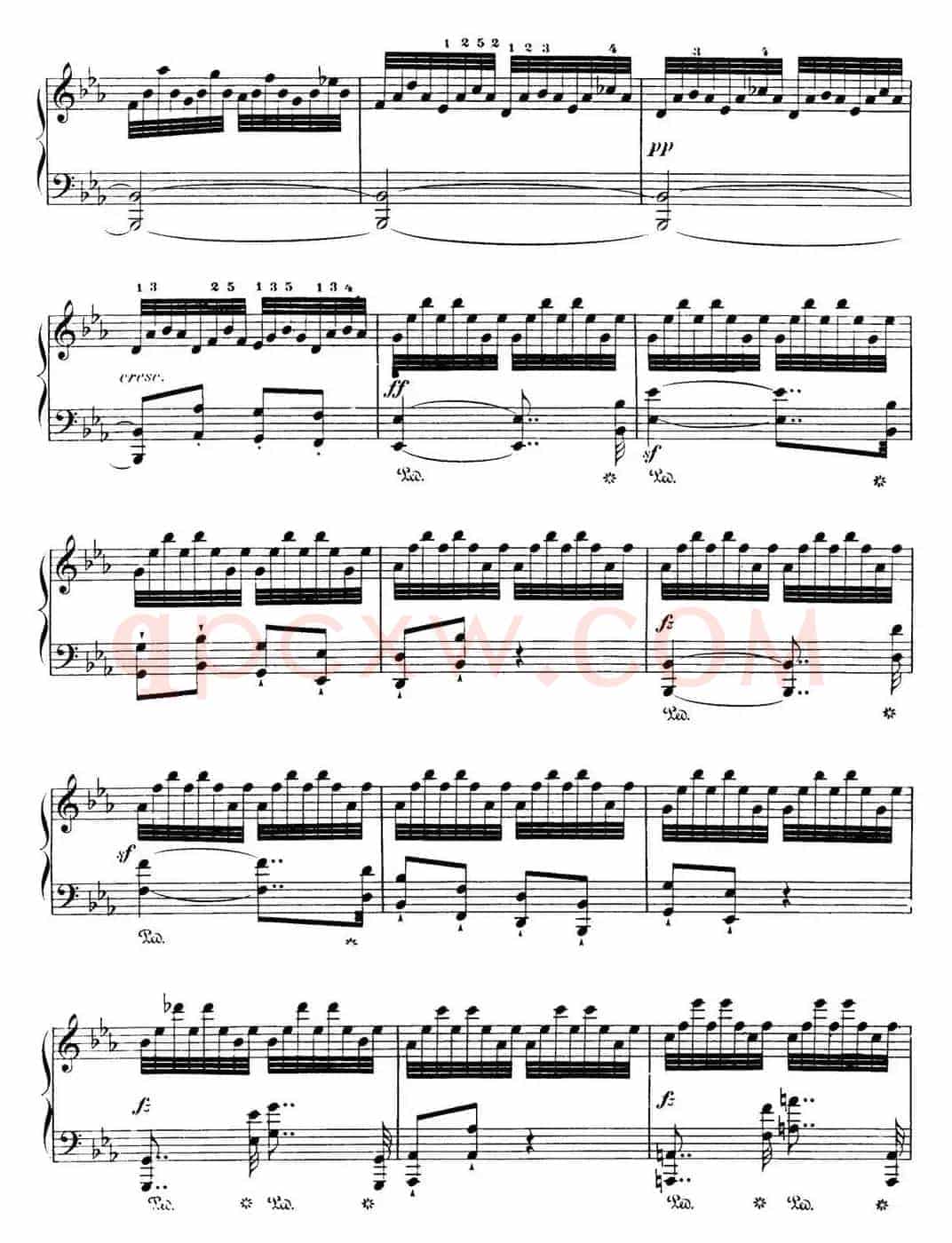 50首车尔尼Op.740钢琴手指灵巧技术练习曲（NO.15）