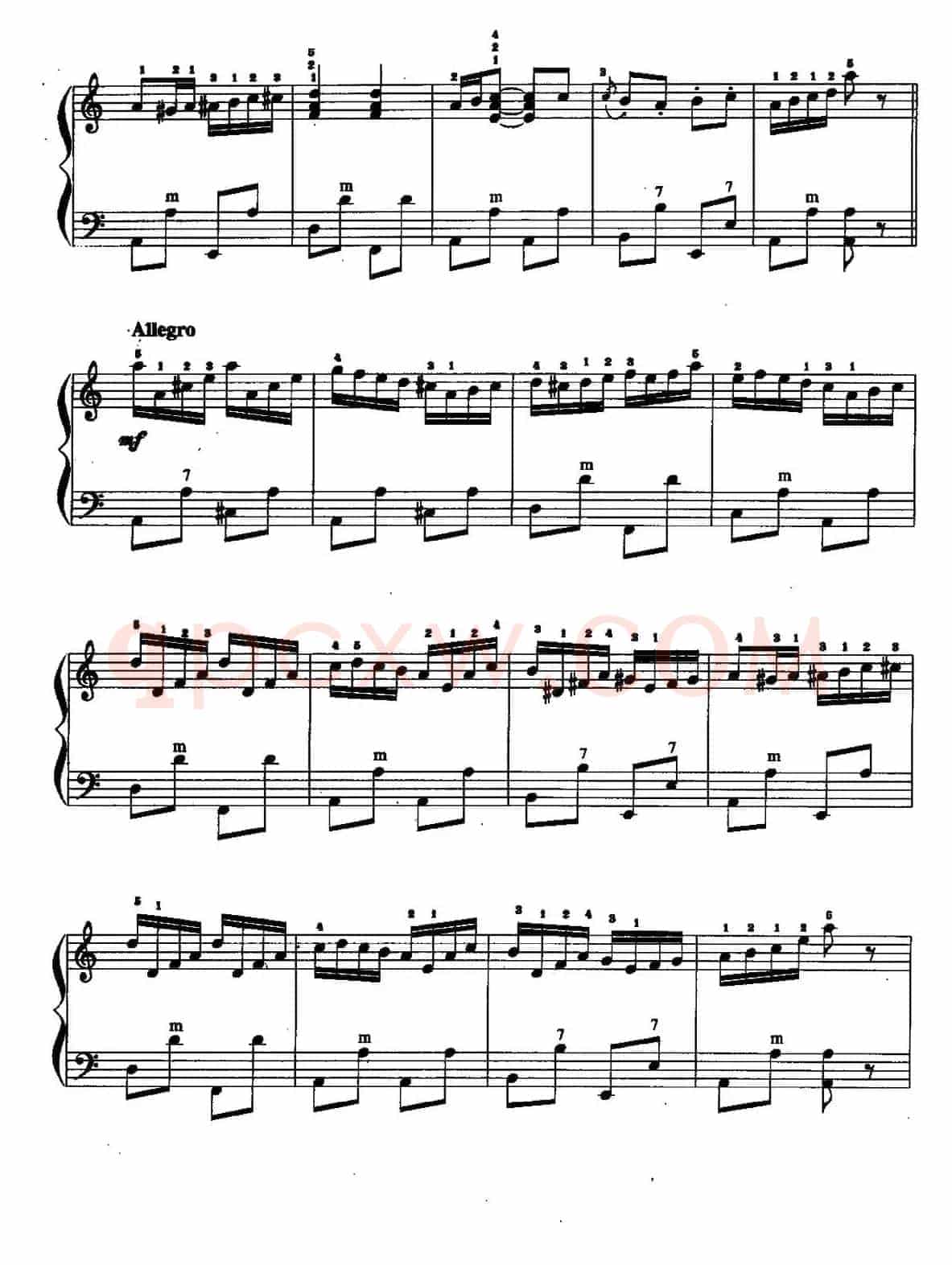 儿童手风琴曲：小苹果