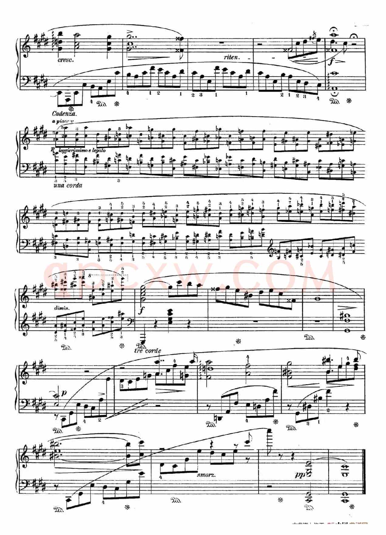 Prelude in c-Sharp Minor Op.45(升c小调前奏曲 )