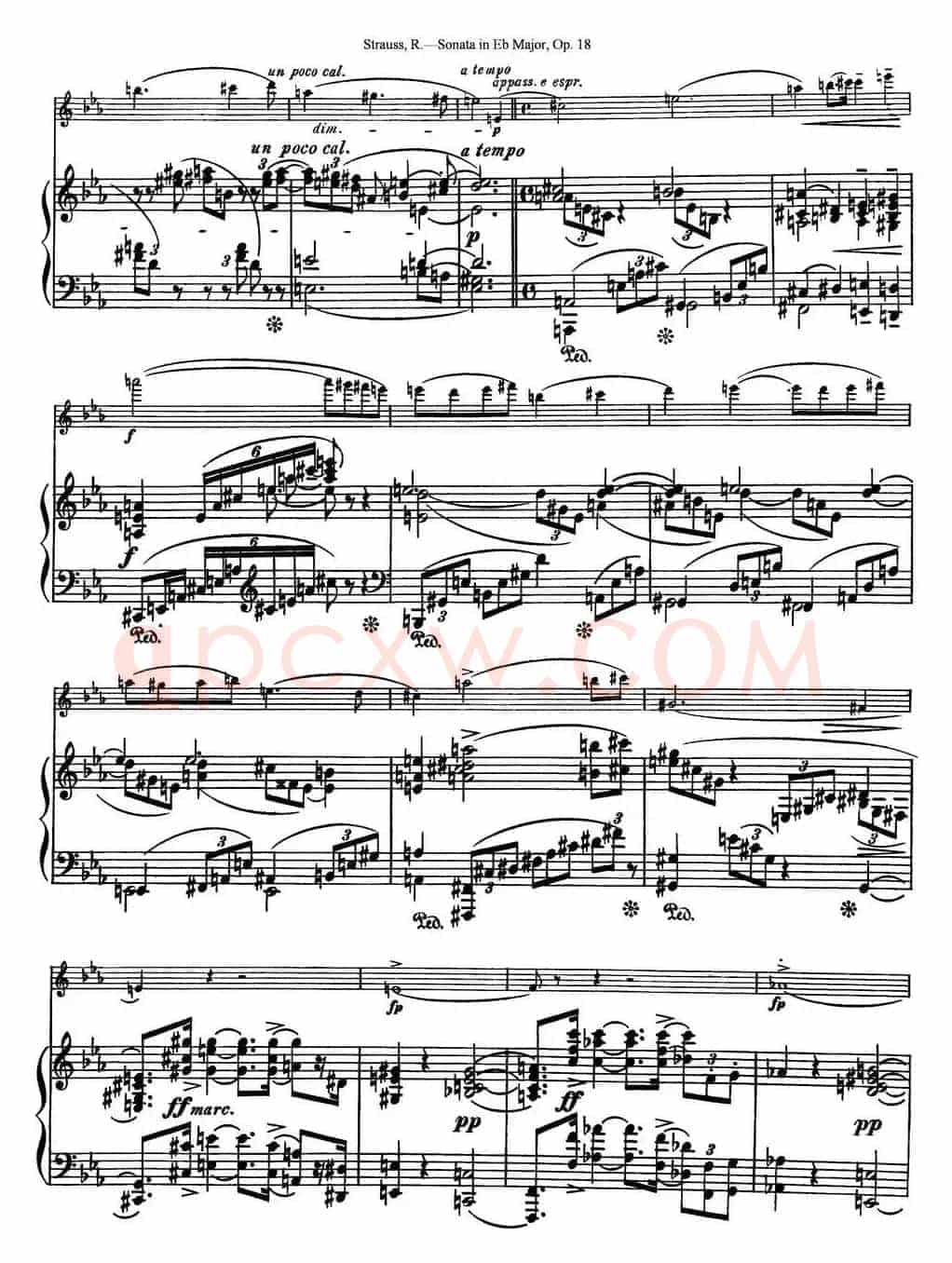 Violin Sonata in Eb Major Op.18（小提琴+钢琴伴奏）