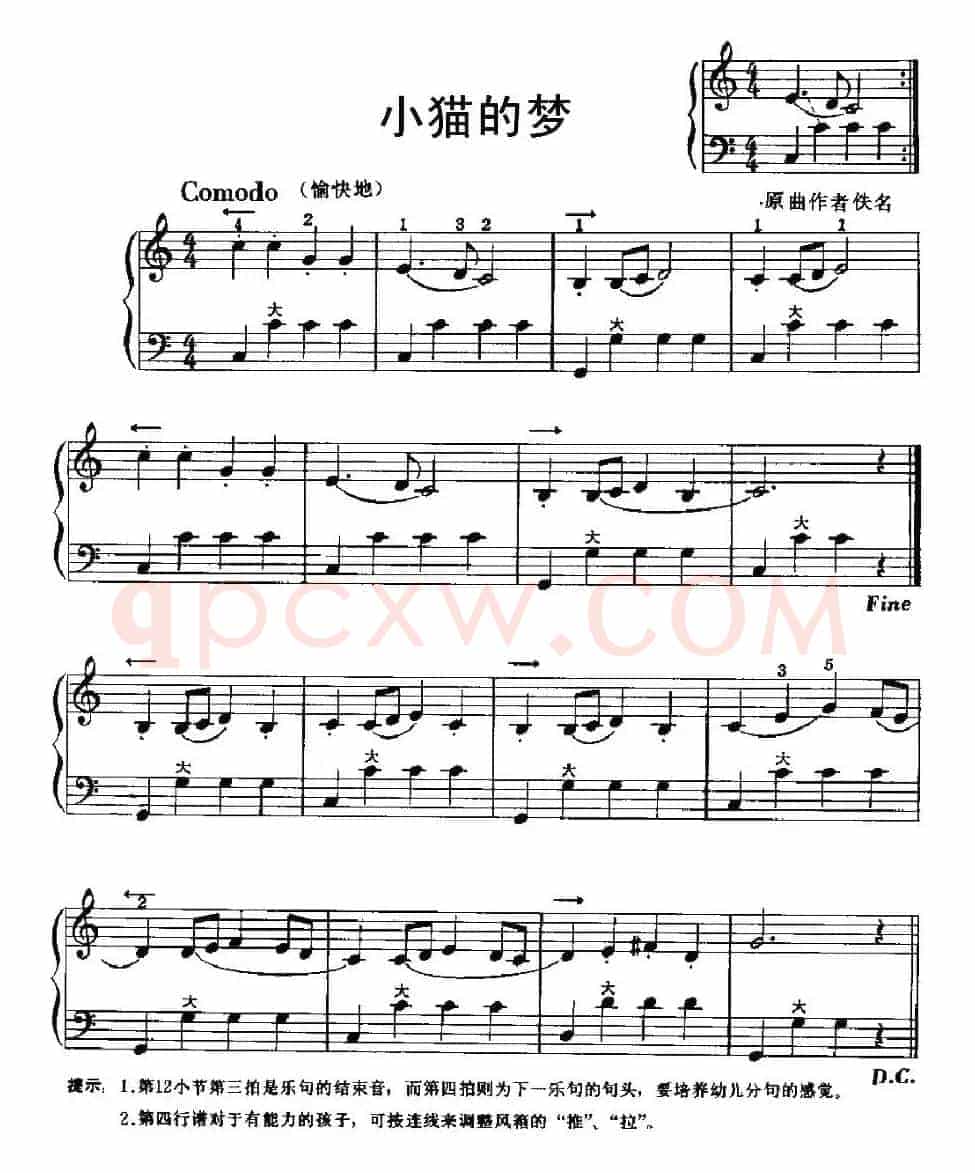 小猫的梦