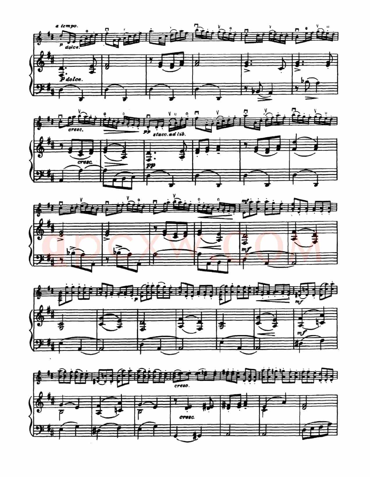 D大调学生协奏曲（塞茨作品第14号）