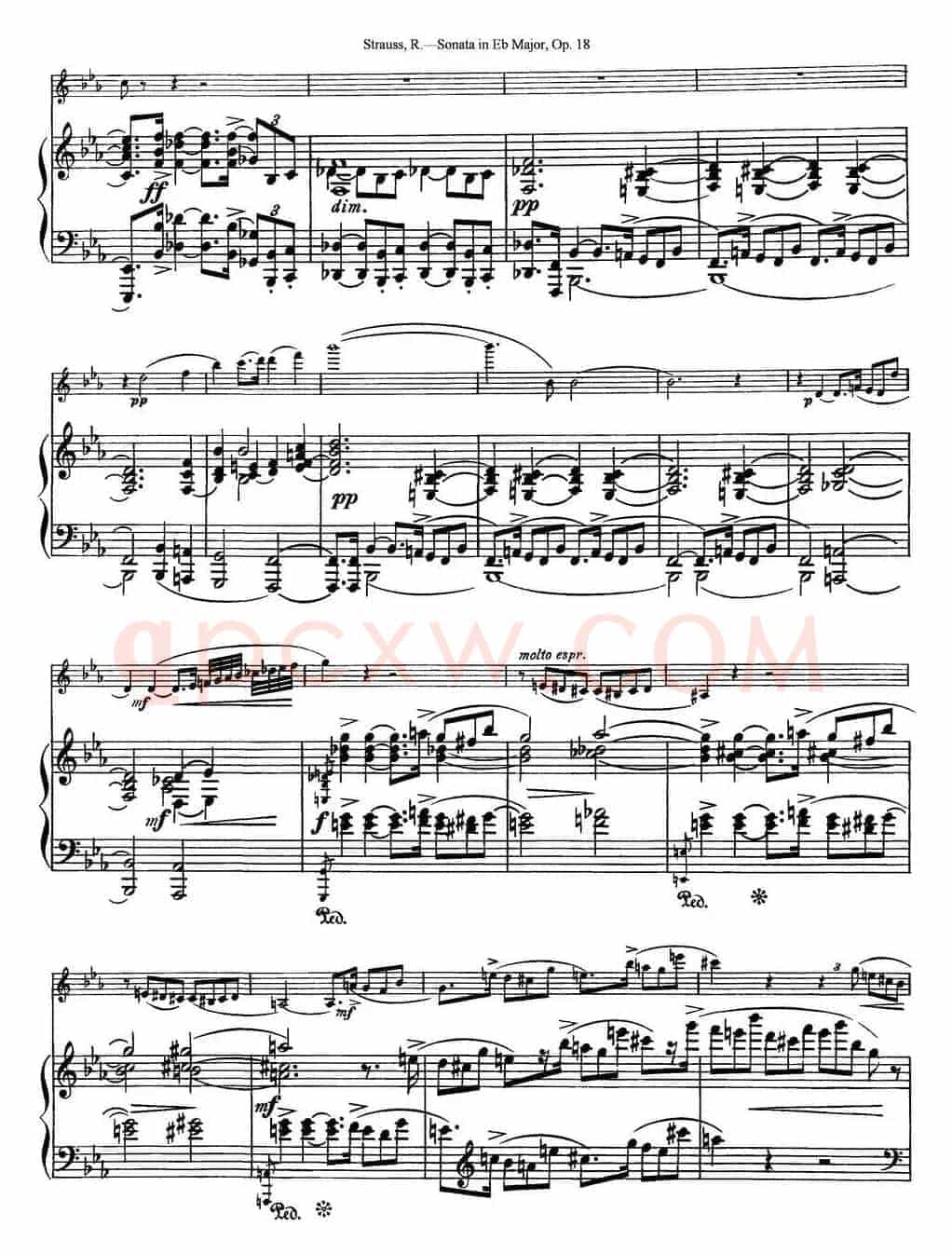 Violin Sonata in Eb Major Op.18（小提琴+钢琴伴奏）