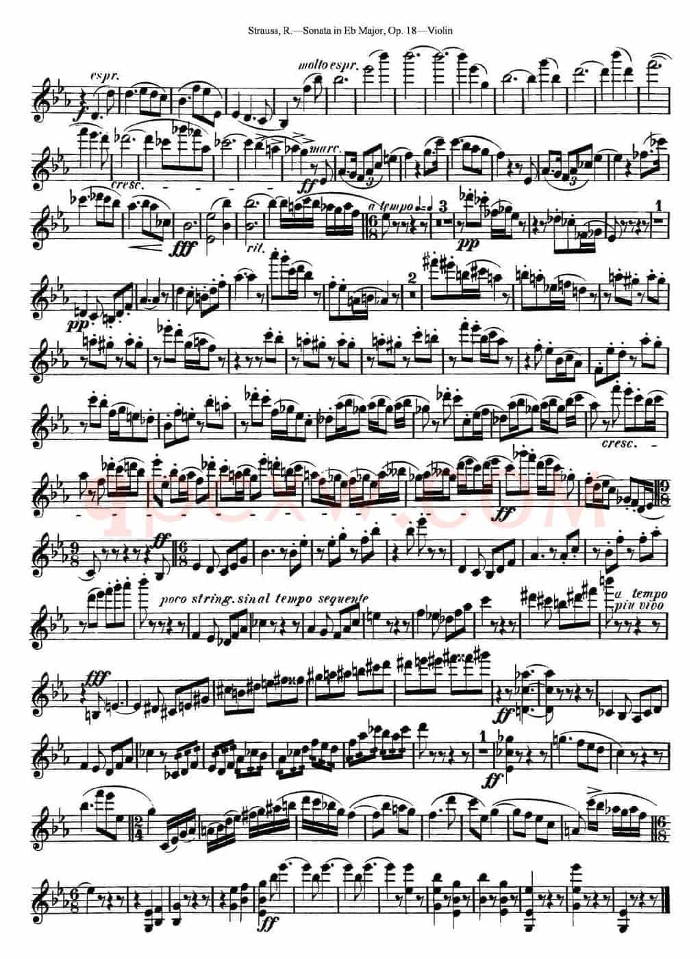 Violin Sonata in Eb Major Op.18
