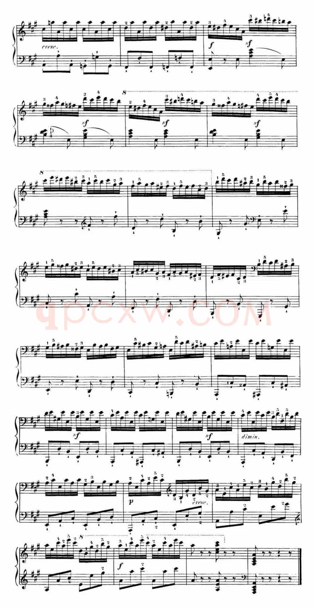 40首车尔尼Op.299钢琴快速练习曲（NO.23）