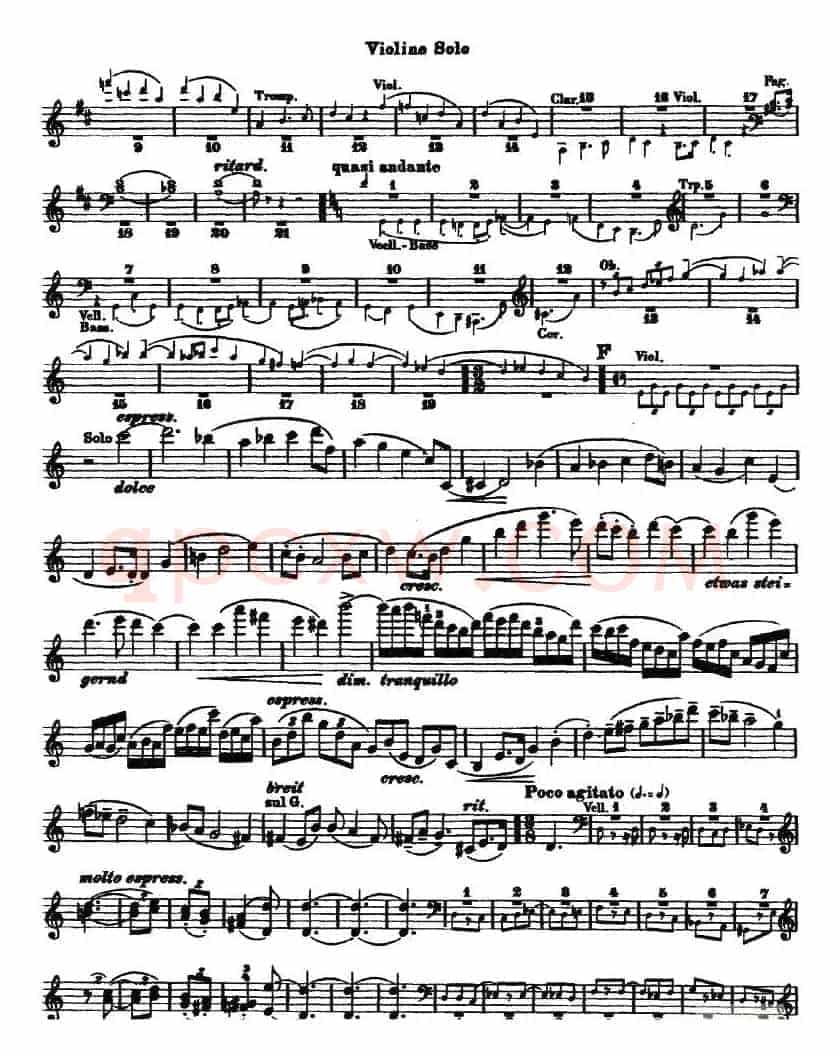 Concerto in D Major