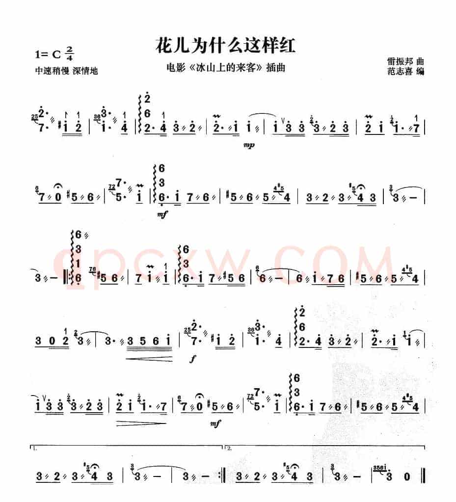 花儿为什么这样红