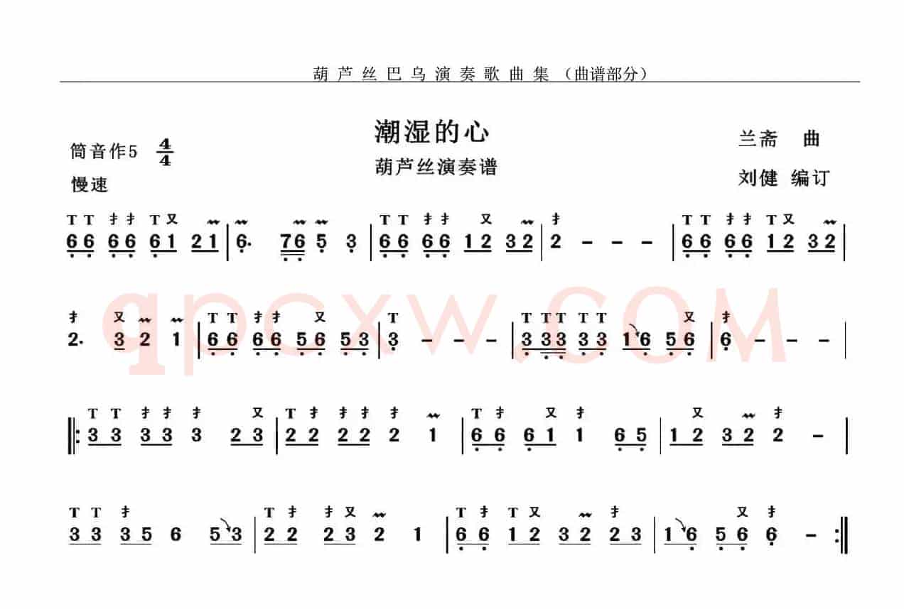 潮湿的心