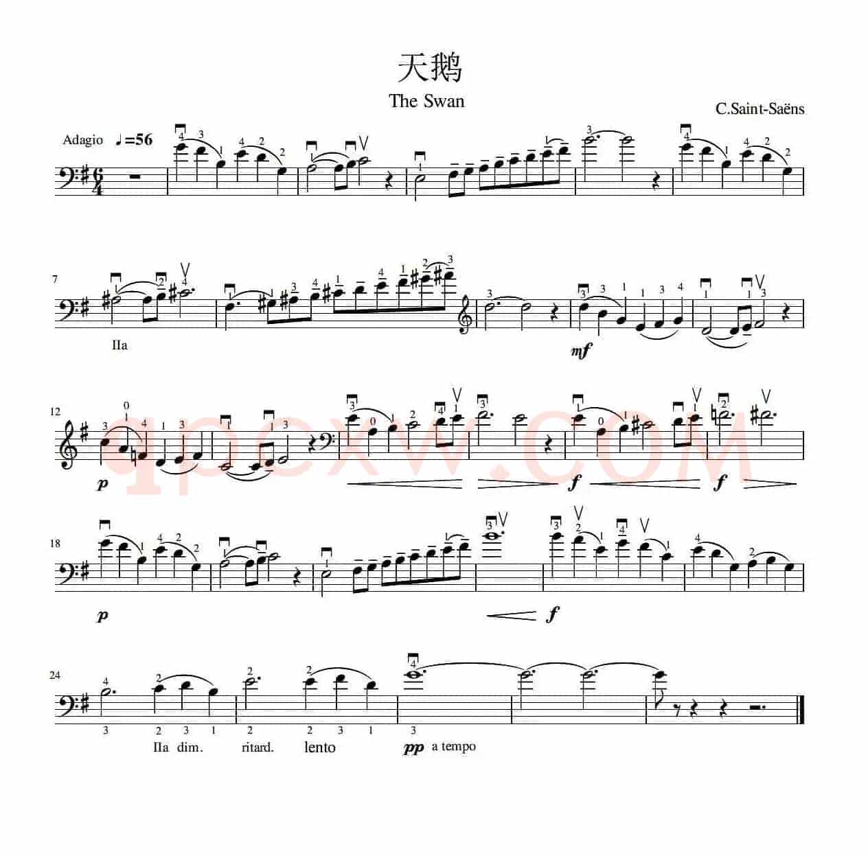 天鹅（大提琴独奏）