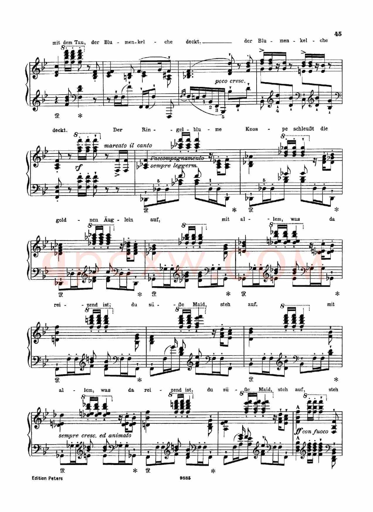 Standchen von Shakespeare (听、听,云雀)
