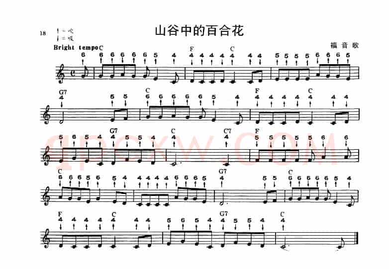 山谷中的百合花（布鲁斯）