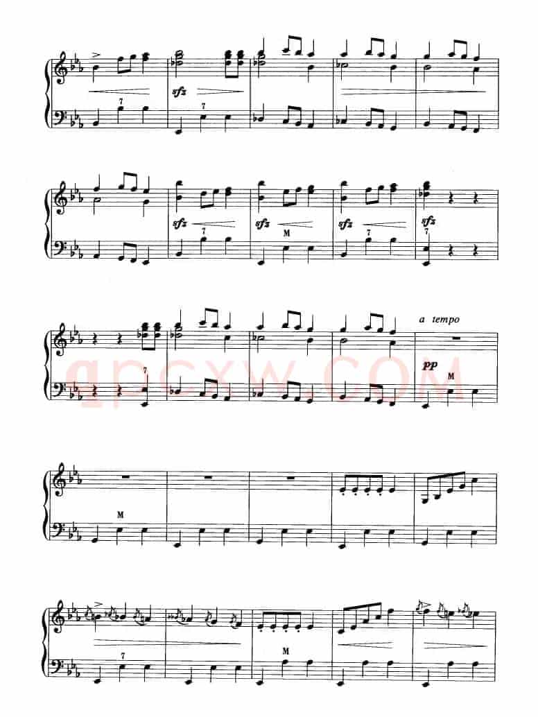 华丽大圆舞曲
