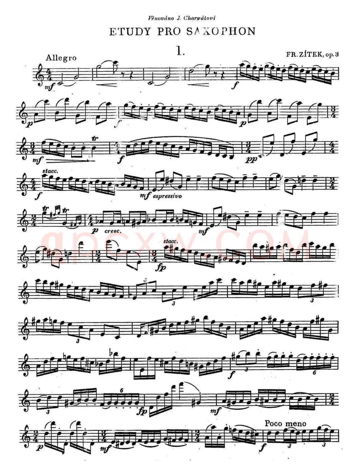 奇特克-萨克斯练习曲之一（ETUDY PRO SAXOPHON - FR ZITRK.op.3）