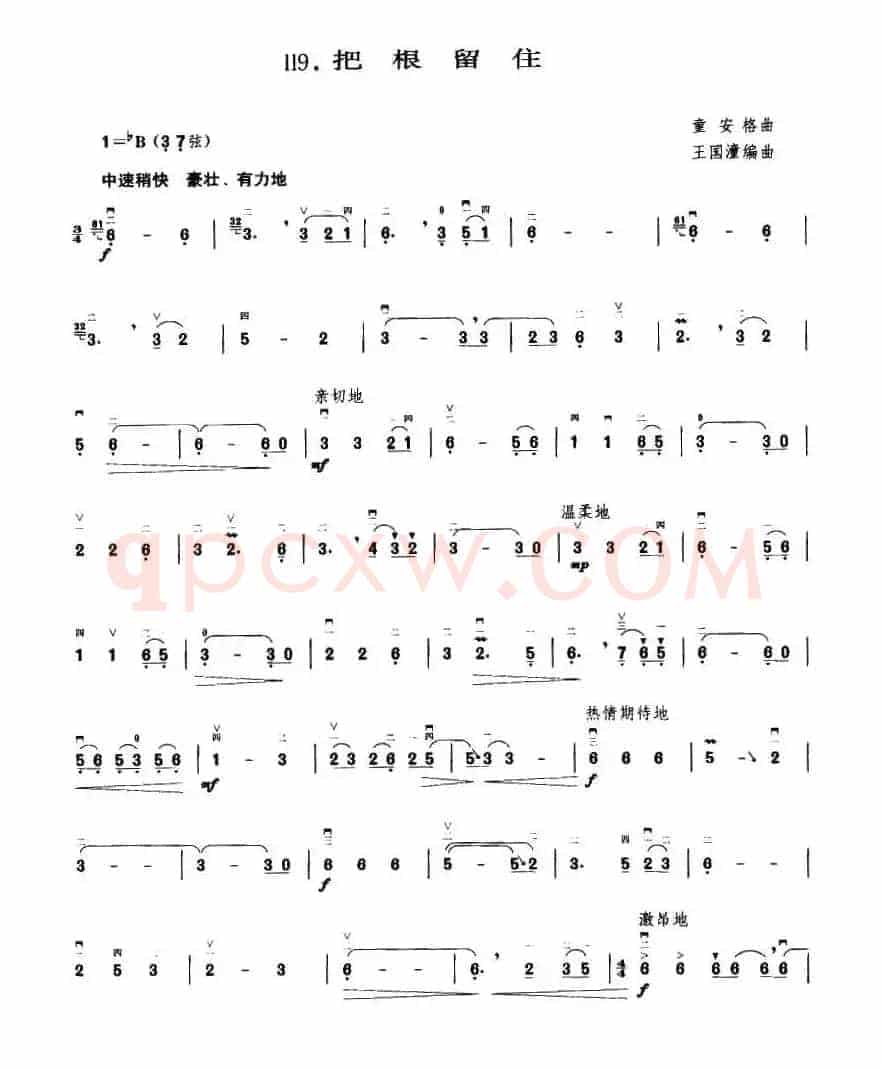把根留住