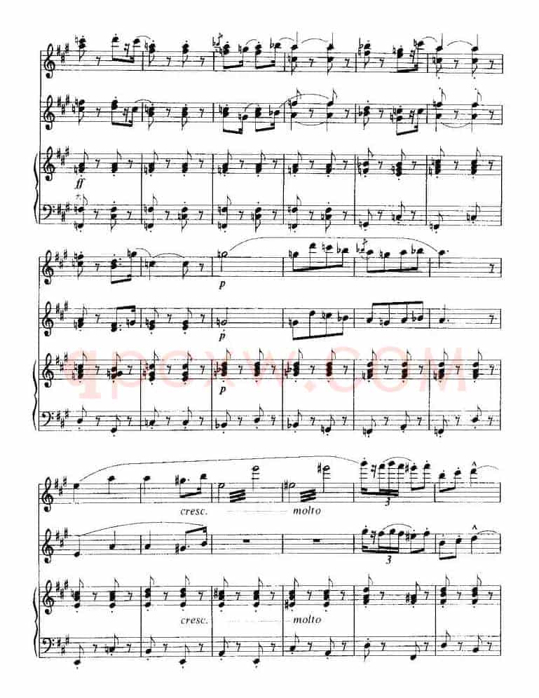 《卡门》序曲（二重奏）