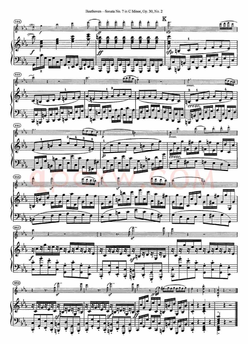 Violin Sonata No.7 in C Minor Op.30 No.2（小提琴+钢琴伴奏）
