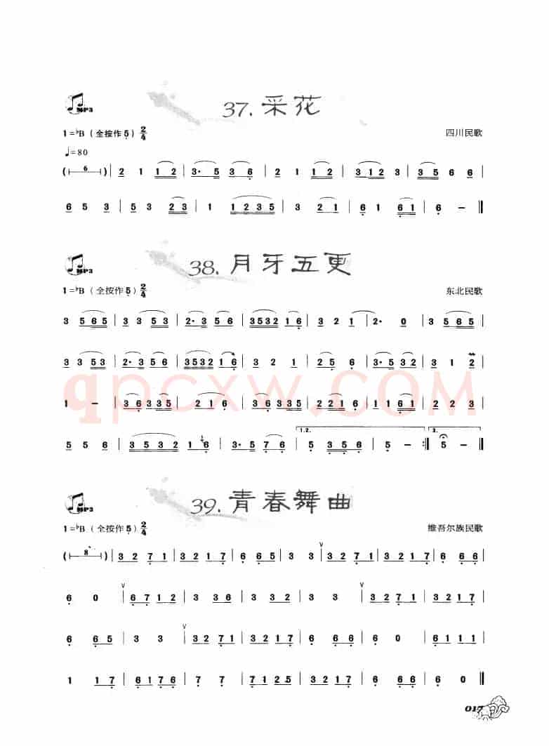 葫芦丝曲精选：采花 月芽五更 青春舞曲