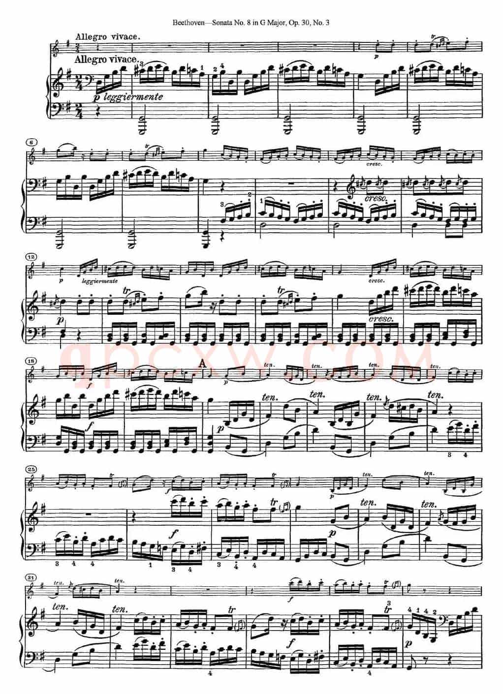 Violin Sonata No.8 in G Major Op.30 No.3（小提琴+钢琴伴奏）