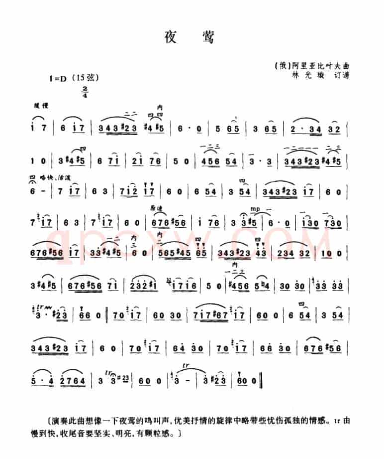夜莺