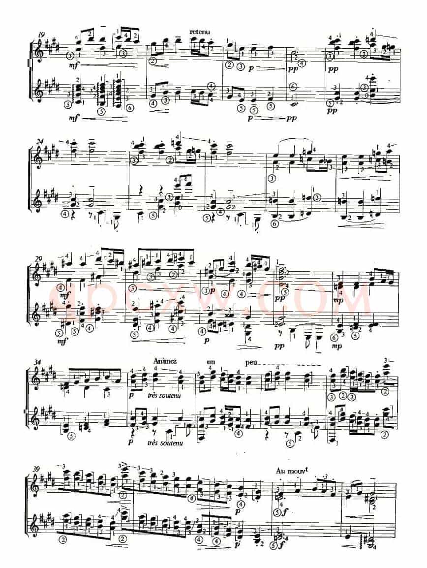 SARABANDE（双吉他）