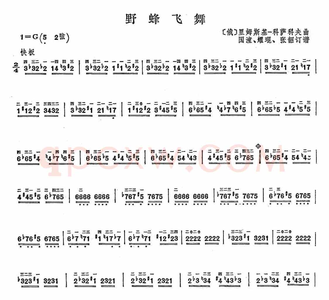 野蜂飞舞