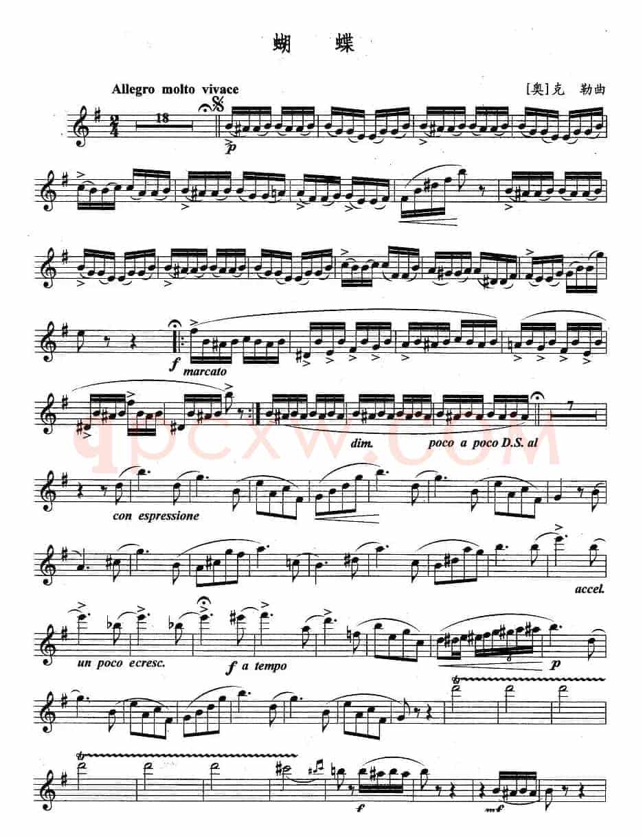 蝴蝶