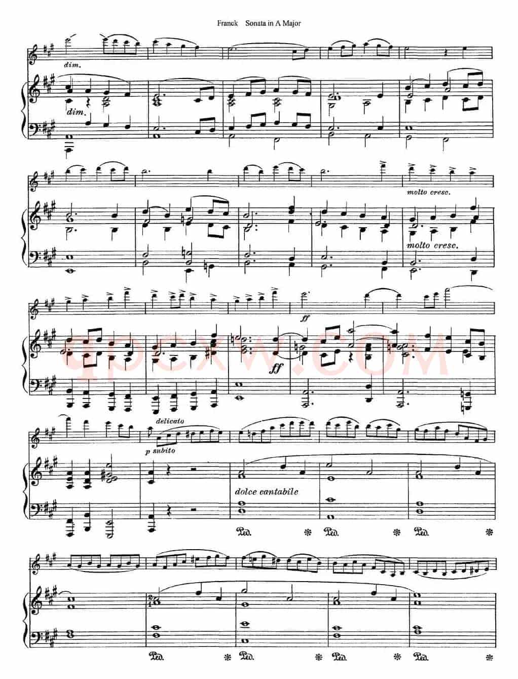 Franck Sonata in A Major（小提琴+钢琴伴奏）