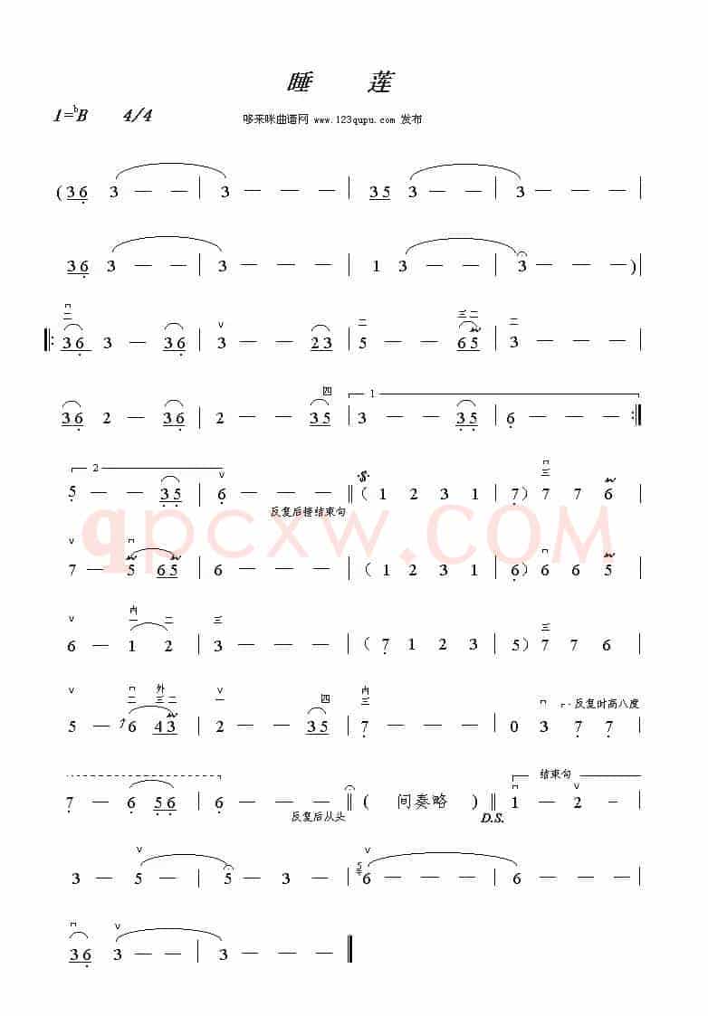 睡莲
