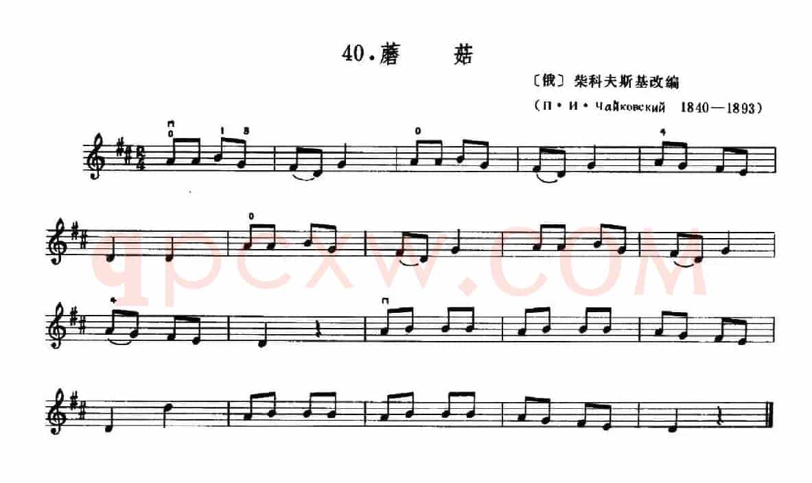 学琴之路练习曲40、蘑菇