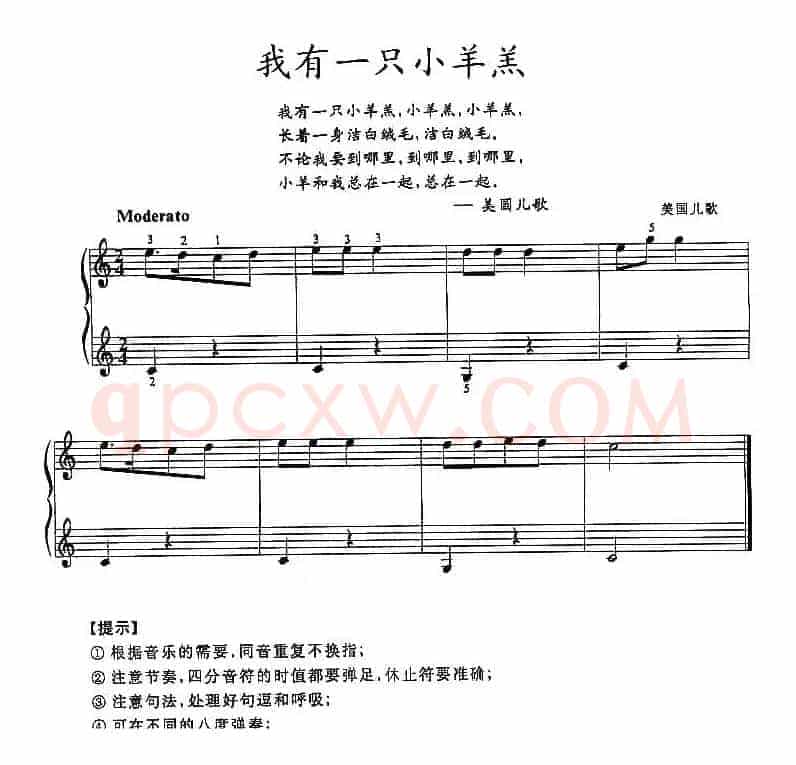 我有一只小羊羔