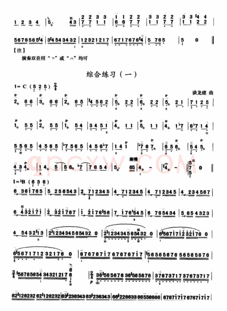 三弦双音练习曲（简谱）