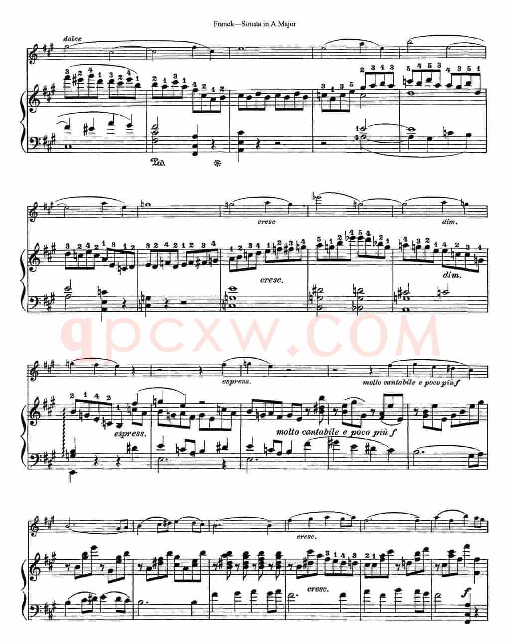 Franck Sonata in A Major（小提琴+钢琴伴奏）