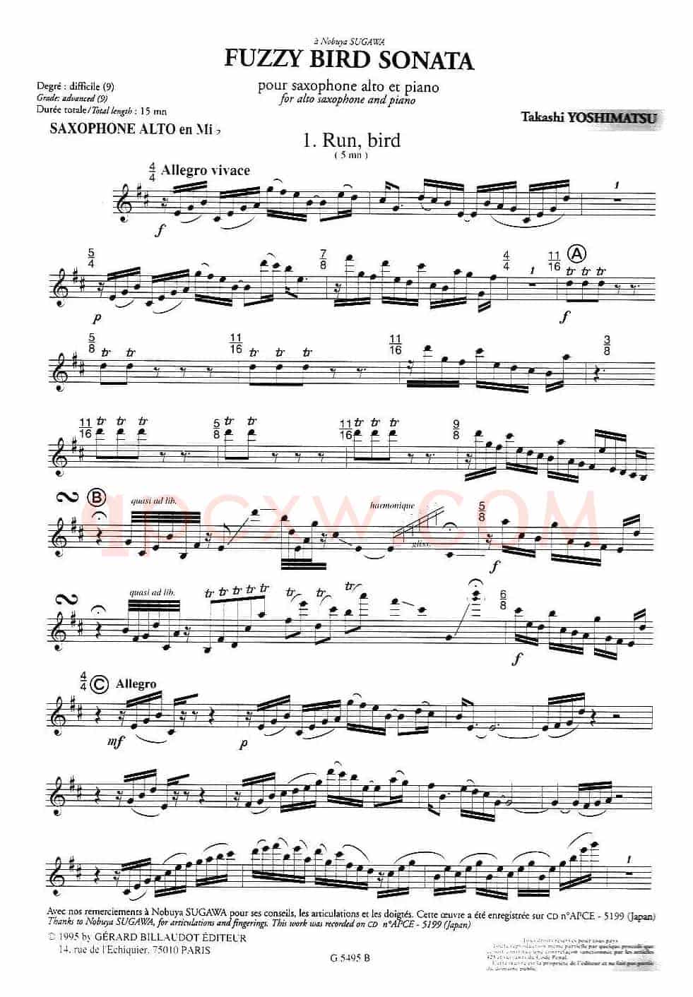 Fuzzy Bird Sonata(绒毛鸟奏鸣曲)(1、Run Bird)