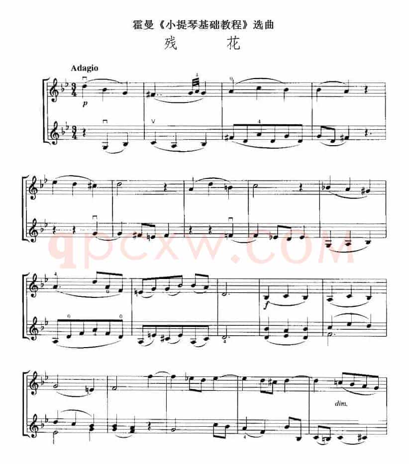 霍曼《小提琴基础教程》选曲：残花（二重奏）