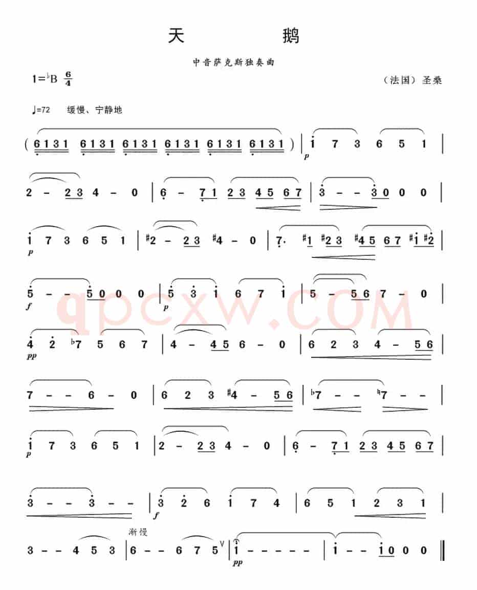 天鹅