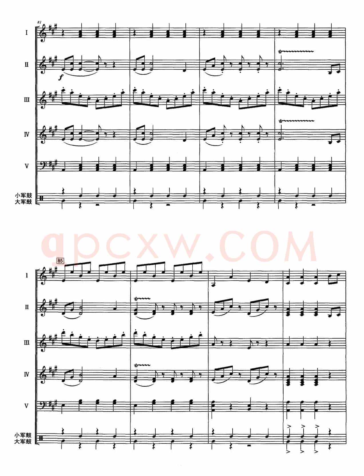 拉德斯基进行曲（器乐合奏、李洲改编版）